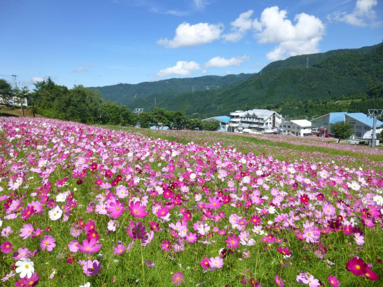 Joyful Honoki Hotel Takayama  Luaran gambar